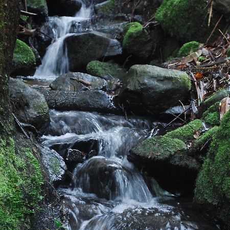 Birch Suite - Rocky Creek Art Garden Олинда Экстерьер фото