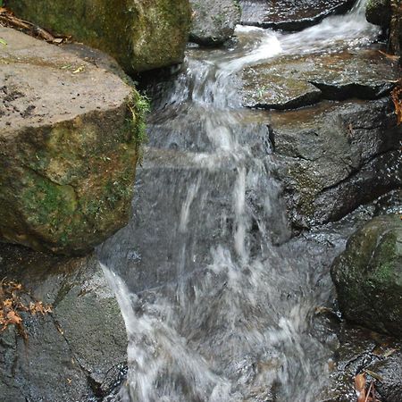 Birch Suite - Rocky Creek Art Garden Олинда Экстерьер фото